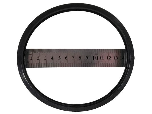 Anel Da Bomba De Combustível Astra 99> E Corsa Novo 02> Ds-1456
