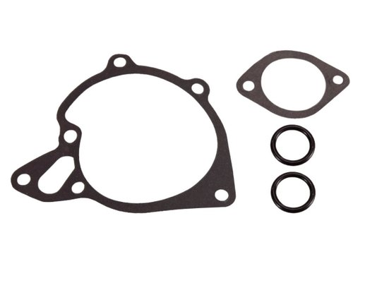 Bomba D'água Hyundai H100, L-200 E L-300 <98 Autotec 14333