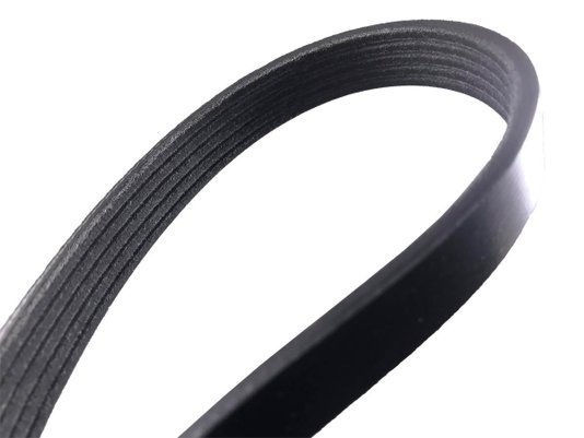 Correia Elástica Poly V Dayco Dp5pk0870ee