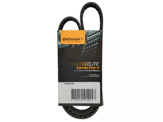 CORREIA POLY V CONTINENTAL 5PK0905 RNH