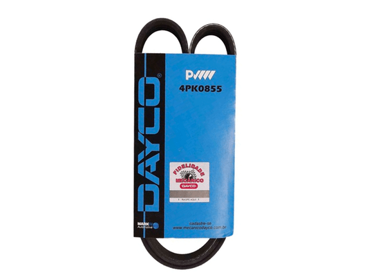 Correia Poly V Dayco 4pk0855