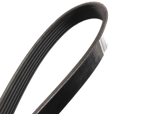 Correia Poly V GATES 6PK0975