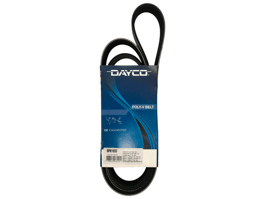 Correia Poly V Gates 6pk1650 