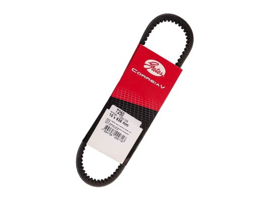 Correia V Gates 7250 Gs