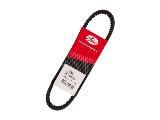 Correia V Gates 7256 Gs