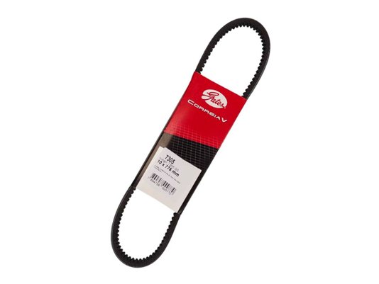 Correia V Gates 7305 Gs