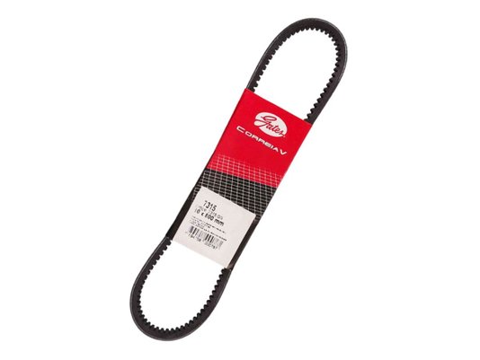 Correia V Gates 7315 Gs