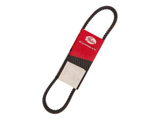 Correia V Gates 7320 Gs