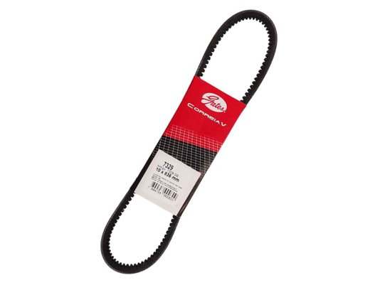 Correia V Gates 7329 Gs