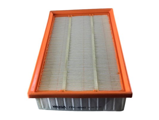 Filtro De Ar (land Rover) Freelander 11> Wega Fap4845