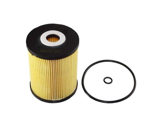 Filtro De Óleo Grand Cherokee Laredo, Dakota 01> E Touareg 04> (refil) Wega Woe620