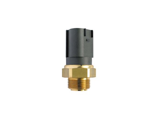 Interruptor Térmico Do Radiador Bora 00>, Polo 02> E Golf  97> Mte-thomson 802 
