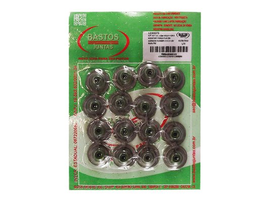 Jogo Retentor da haste de válvula BASTOS 1230073b