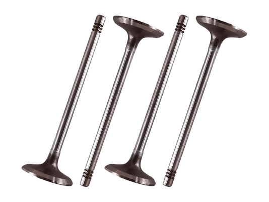 Jogo Válvula de admissão TAKAO VAD GM 10B