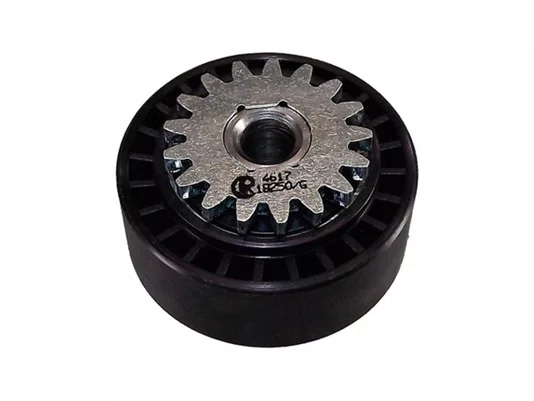 Polia Da Correia Poly V Peugeot 206, Clio E Kangoo Ranalle R4617