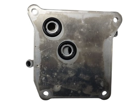 Radiador De Óleo De Câmbio Captur, Logan, Oroch,  Sandero 1.6 16v 17/21, Duster 1.6 16v 11/21 Frontier 77032