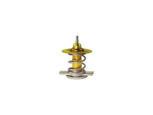 Válvula Termostática Mte-thomson Vt 211.82