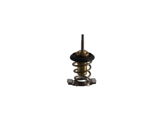 Válvula Termostática Mte-thomson Vt 244.87