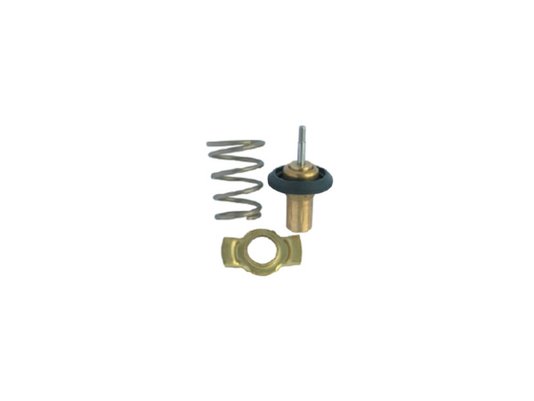 Válvula Termostática Mte-thomson Vt 244.87
