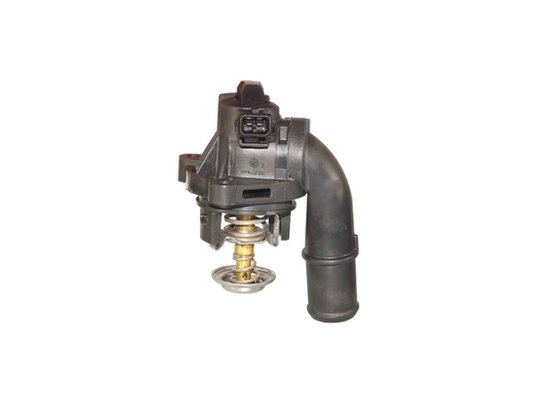 Válvula Termostática Wahler 410154.100