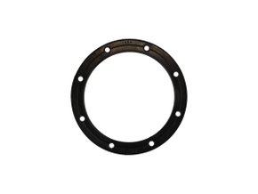 Anel Da Bomba De Combustível Omega 93/98 Ds-1454