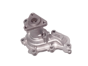 bomba-d-agua-ecosport-novo-12v