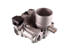 Corpo Da Borboleta Palio, Siena  Economy, Uno 04> Ymax 0230 