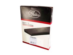 Correia Elástica Poly V Gates 4pk0798sf