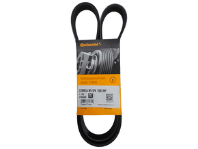 Correia Poly V Continental 5pk1200 