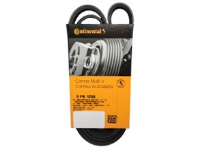 Correia Poly V Continental 5pk1255 