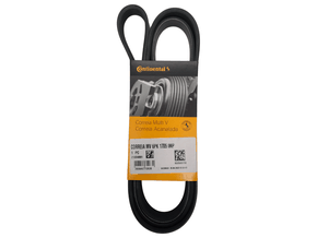 Correia Poly V Continental 6pk1705 