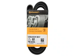 Correia Poly V Courier, Ecosport, Escort, Fiesta, Focus,  Ka, Astra, C-20, Omega, Suprema, Zafira, Peugeot 307,  Fox, Polo, Citroen C4, Sonata Continental 6pk1699