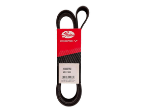 Correia Poly V Gates 6pk1905 