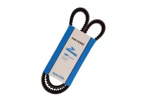 Correia V Dayco 10a1030c