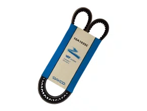 Correia V Dayco 10a1035c