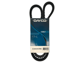 Correia V Dayco 11a1025c 