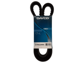 Correia V Dayco 17a1105c 