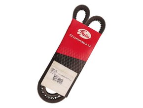 Correia V Gates 4394 Gs