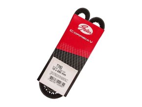 Correia V Gates 7350 Gs