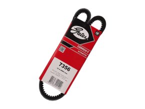 Correia V Gates 7356 Gs