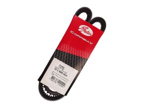 Correia V Gates 7370 Gs