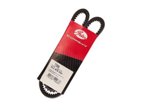 Correia V Gates 7384