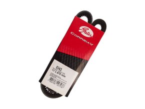 Correia V Gates 8343 Gs