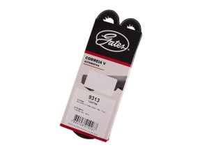 Correia V Gates 9313