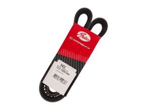 Correia V Gates 9402 Gs