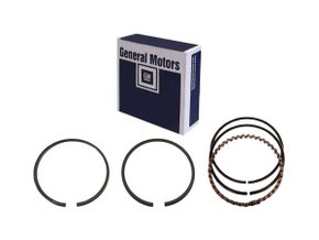 Jogo De Anéis De Pistão Original Gm 93305514 0.00