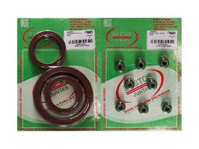 Jogo De Retentores Do Motor Chevette, Chevy E Marajó Bastos 1320001