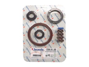 Jogo De Retentores Do Motor Clio E Kangoo 98>, Logan 07>, Megane E Scenic 99>, Sandero 08> E Symbol 09> Taranto R560100