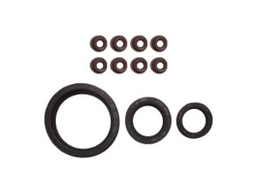 Jogo De Retentores Do Motor Clio E R19 <98 Taranto R550900