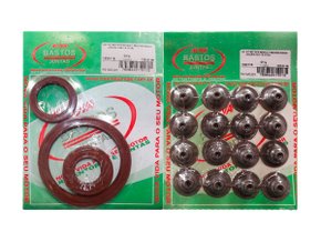 Jogo De Retentores Do Motor Clio, Kangoo, Megane E Scenic 98>, Logan 07>, Sandero 08> E Symbol 09> Bastos 1350118